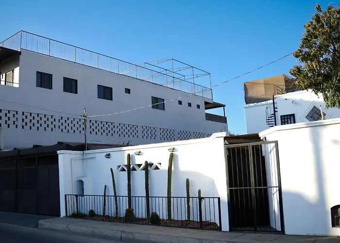 White House Cabo *